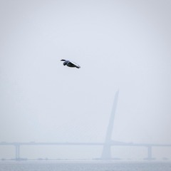 35E9608D-A686-4720-A412-8764E3A90351/L0/001
