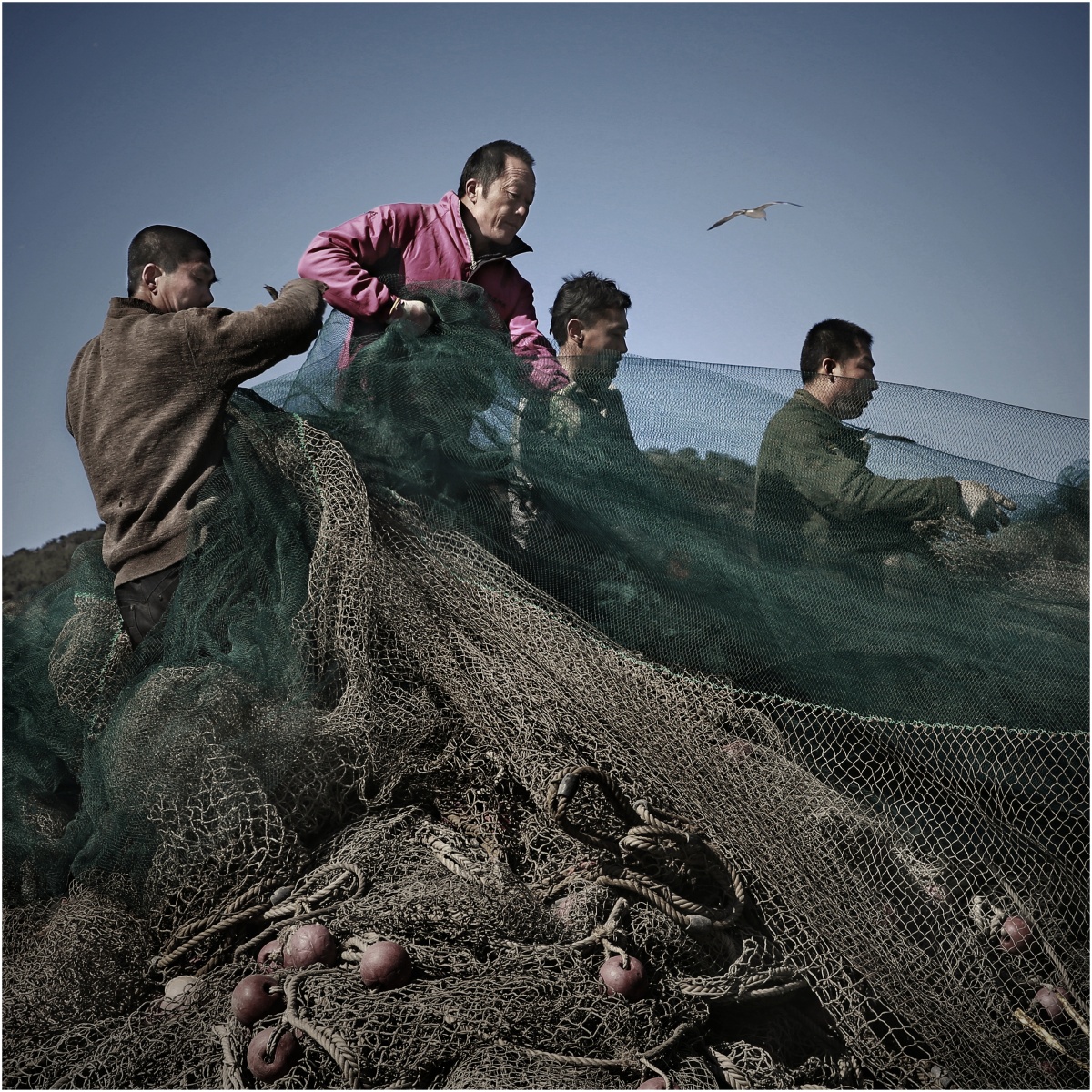 那是很平常的东西,但对于大连渔民来说,渔网是渔民们吃饭乃至生存的