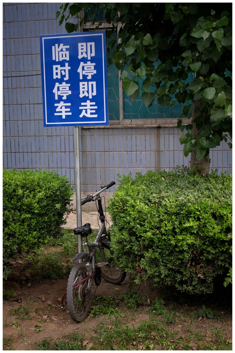 前几天在公交车上行驶到这里看见马路边立着一个牌子上面写着临时停车