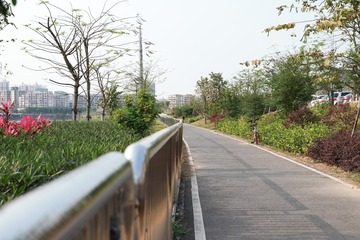 473596
