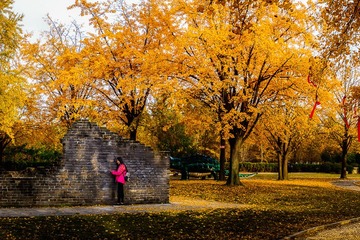 _MG_4631-Pano_1