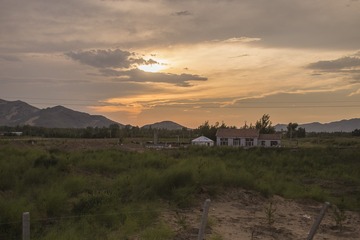 98268