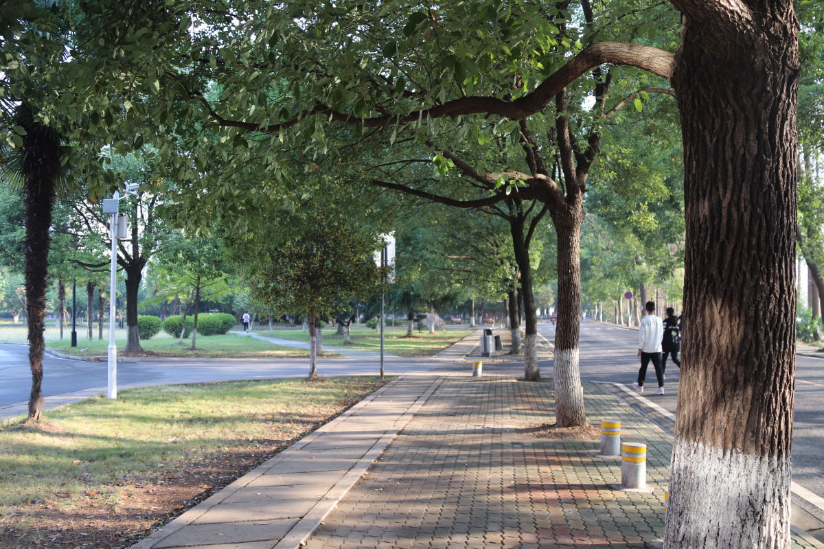 湖北工业大学景色真美