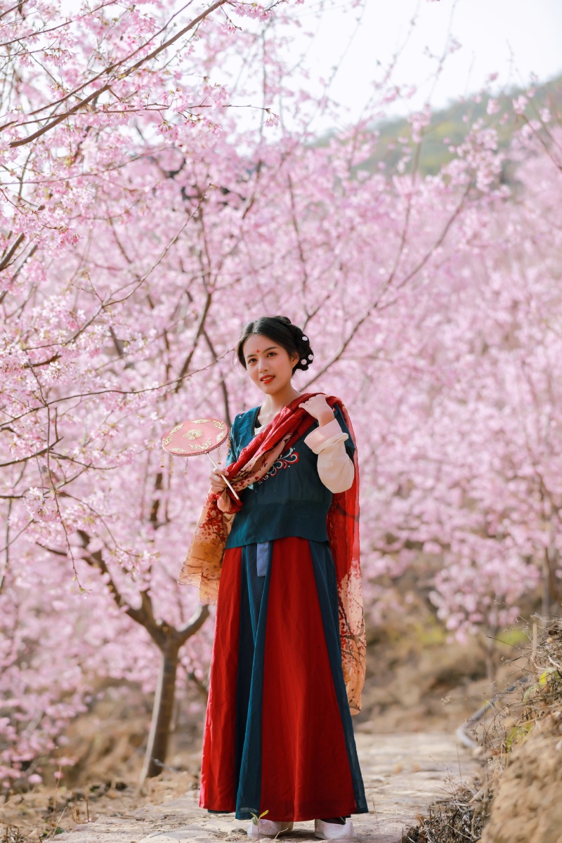 樱花美女 - 海依恋 - 图虫