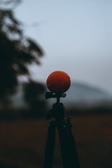 974655