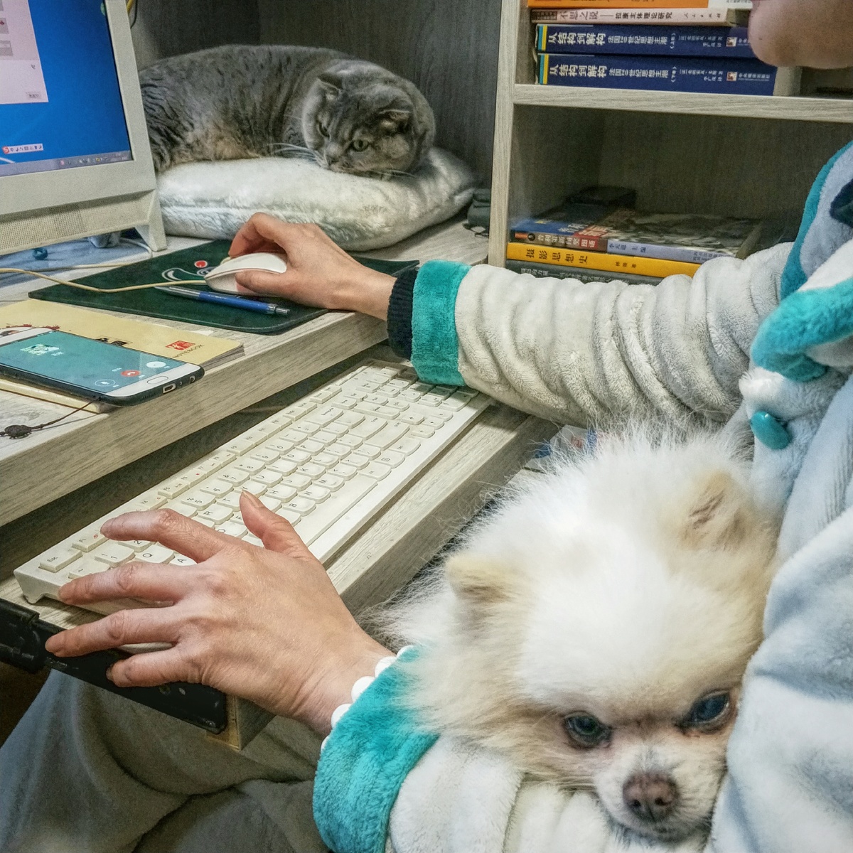 2月13日，久久没有复工的消息，一些企业已经开始居家网上办公。