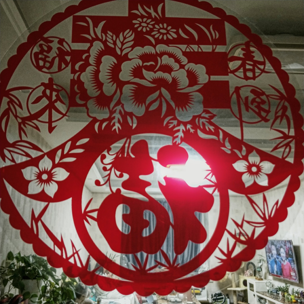 2020年1月24日，除夕夜。从头条中陆续看到武汉爆发新冠肺炎的消息，得知老年人和有基础病的易感。经家庭协商，取消了三十到双方父母家团年，这也是首次没有父母陪伴的新年。