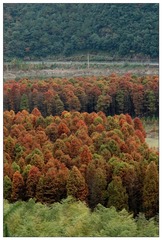 DSC05760a_调整大小