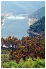 DSC05761a_调整大小