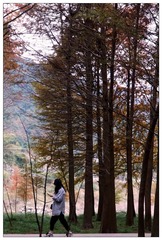 DSC06025a_调整大小 - 