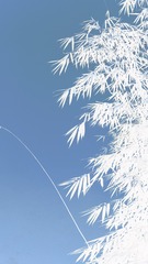 001