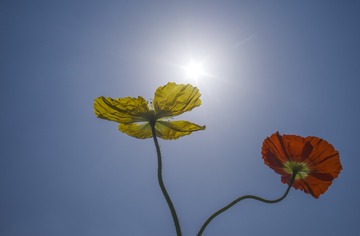 1040068