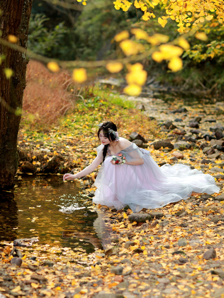 银杏叶黄出镜佳佳摄影磊落拍摄于宁波海曙区横街毛家岙银杏林感谢您的