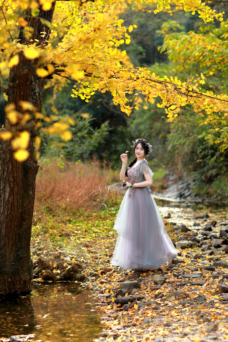 银杏叶黄出镜佳佳摄影磊落拍摄于宁波海曙区横街毛家岙银杏林感谢您的