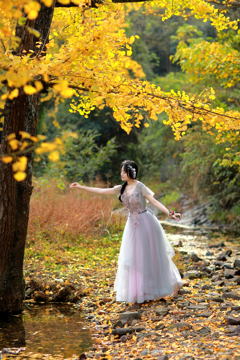 银杏叶黄出镜佳佳摄影磊落拍摄于宁波海曙区横街毛家岙银杏林感谢您的