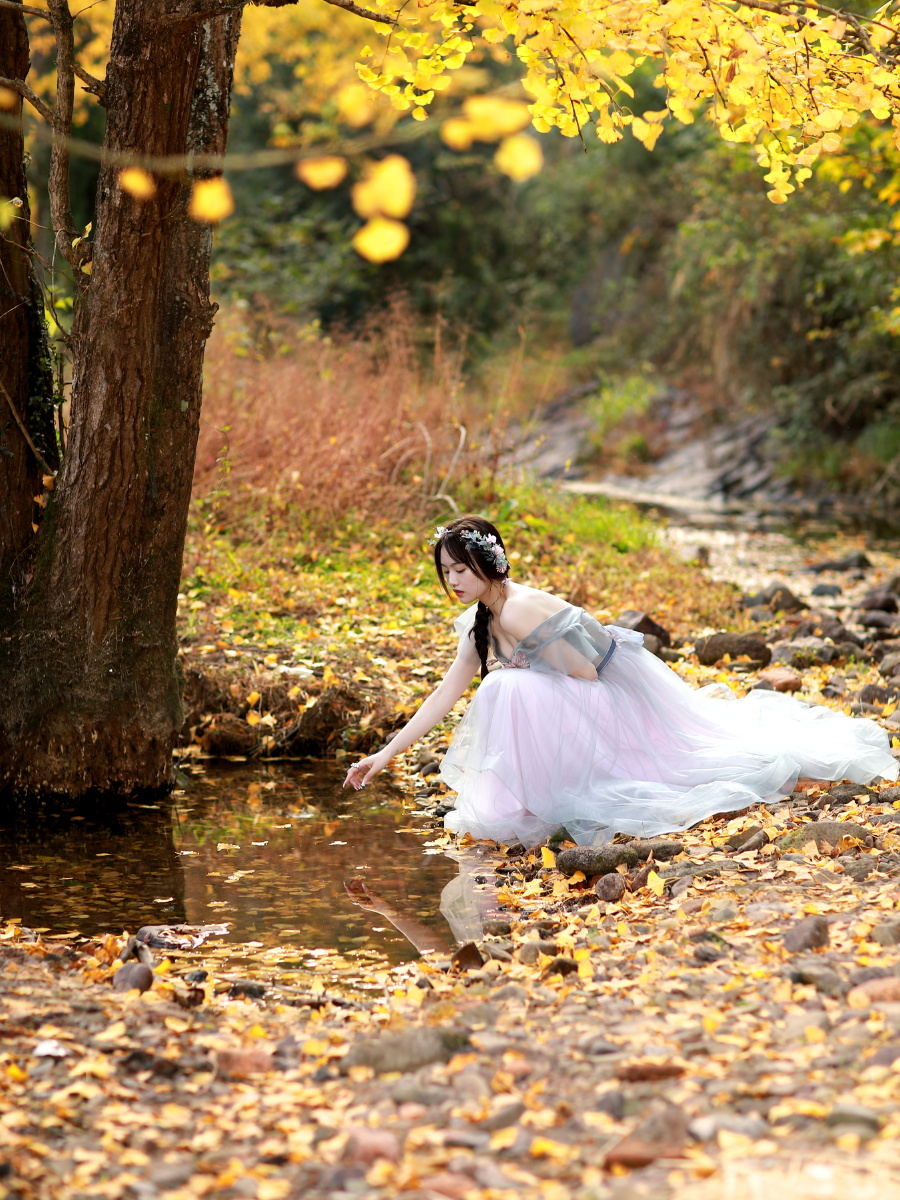 银杏叶黄出镜佳佳摄影磊落拍摄于宁波海曙区横街毛家岙银杏林感谢您的