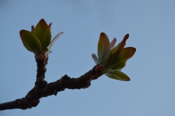 DSC_0824_506