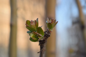 DSC_0827_509
