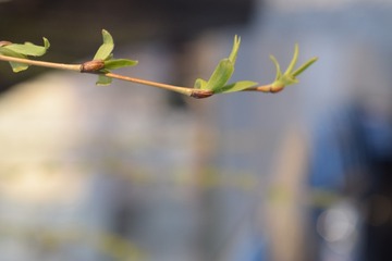 DSC_0857_539