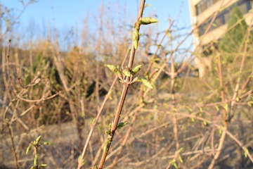 DSC_0882_564