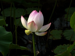 P1130092_