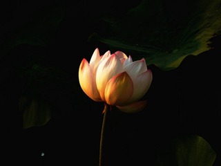 P1130099__