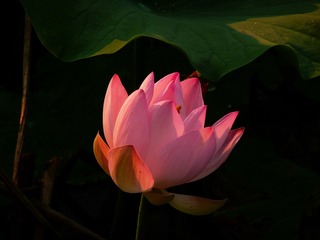 P1130102_