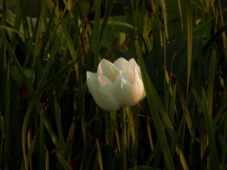 P1130123_