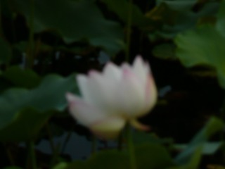 P1130127