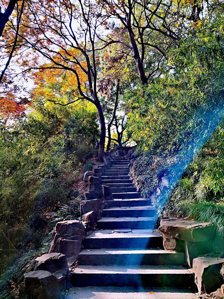 远上寒山石径斜