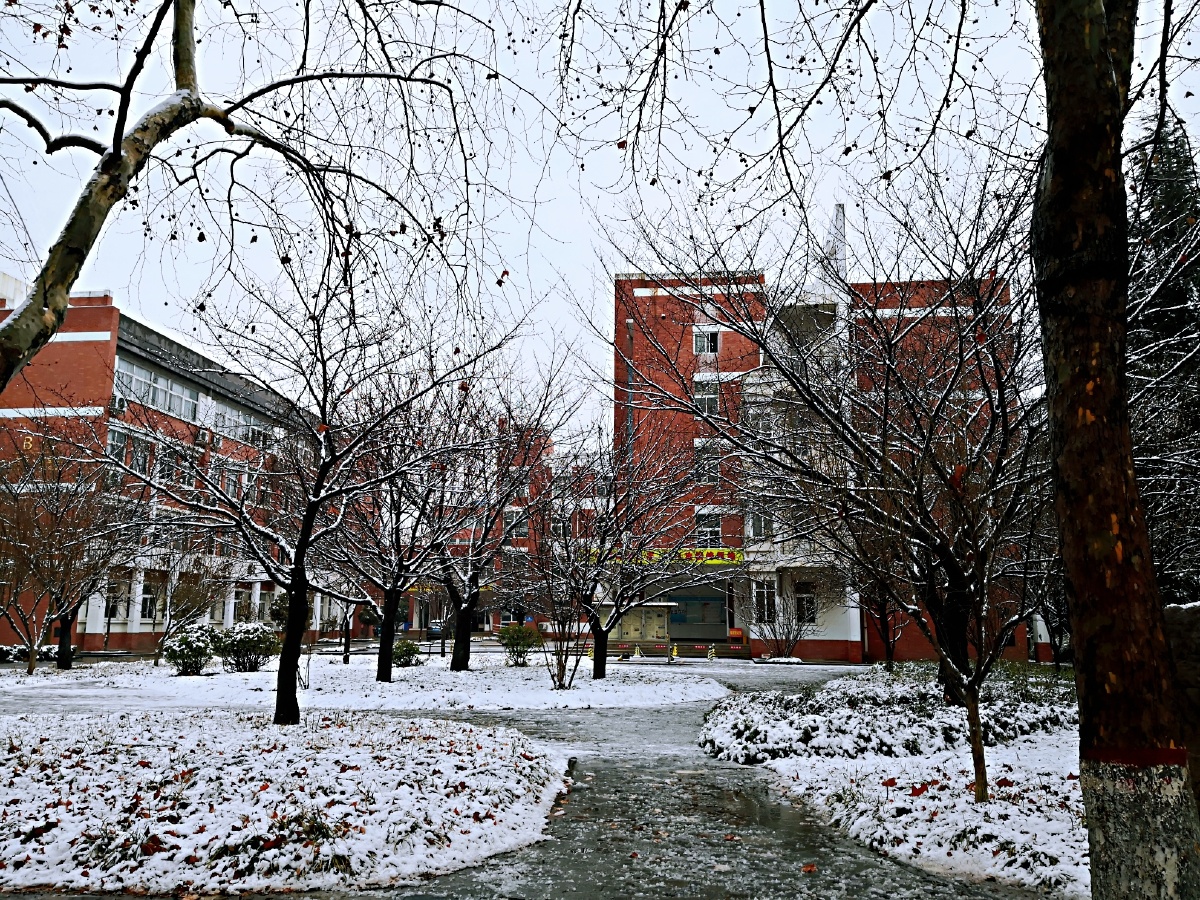 雪后的校园