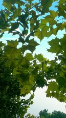 C360_2016-08-23-16-18-32-538