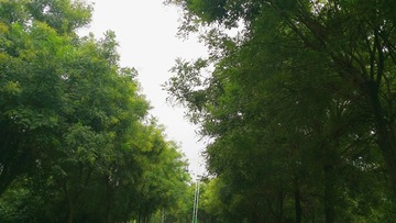 2016-08-23 04.28.31 1