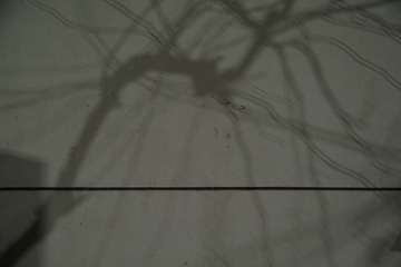 1511408