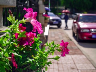 P71703320
