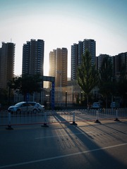 P7160291