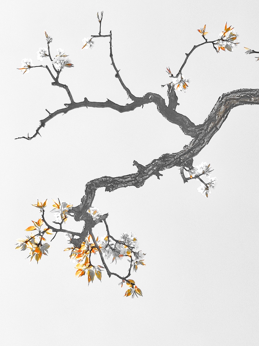 带叶梨花独送春