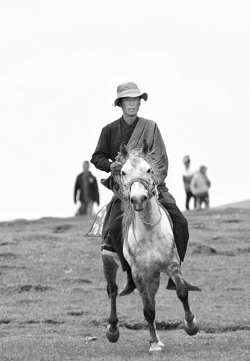 草原骑手