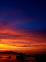 _8165279A