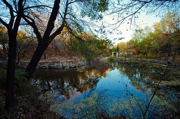 DSC_4782.jpg