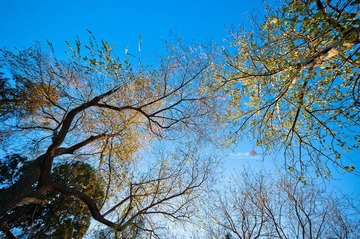 DSC_4693.jpg