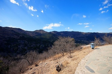 DSC_5863.jpg