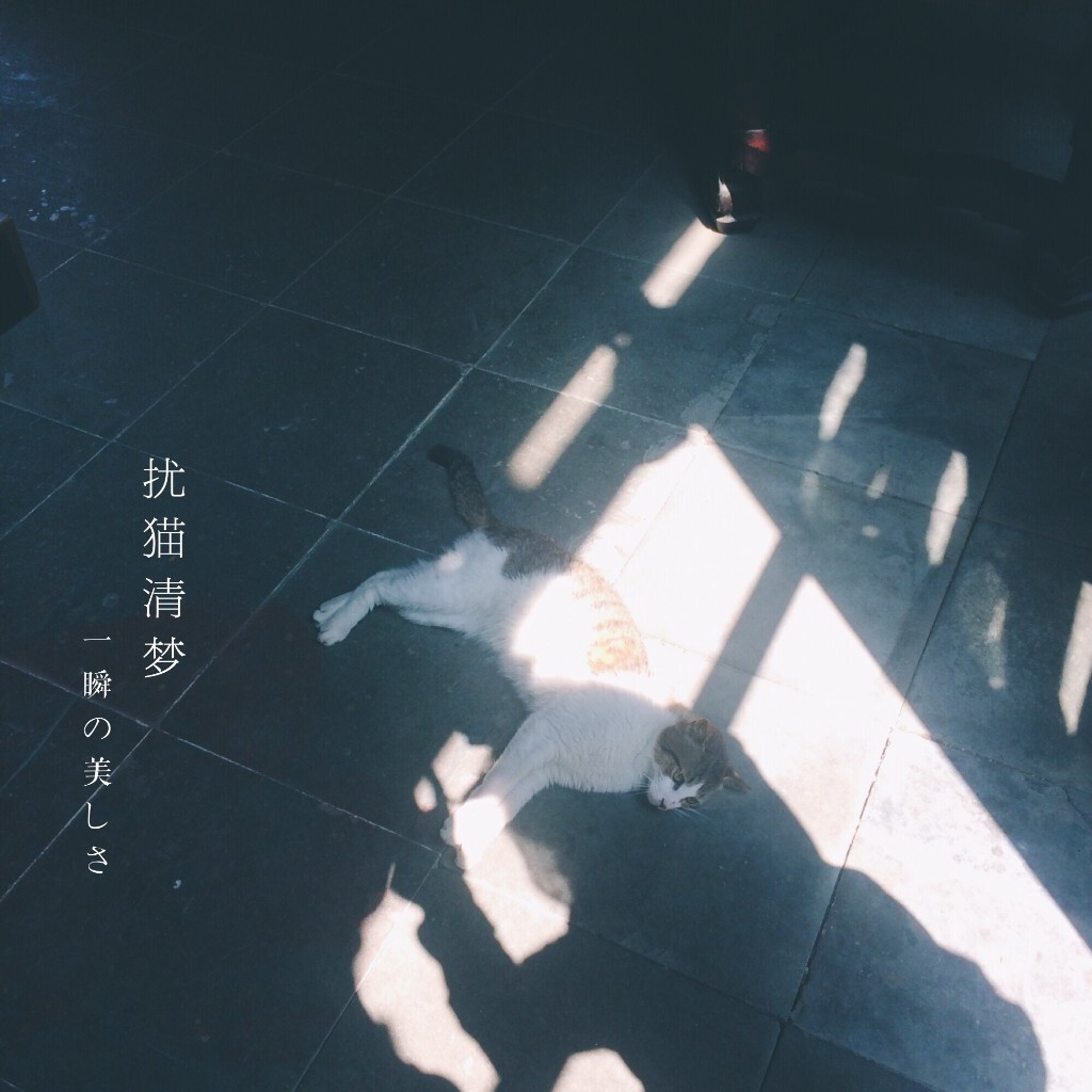 <br />
全世界所有孤独的午后阳光和斯斯艾艾的伤感！<br />
<br />
<br />

