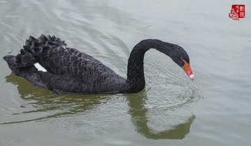 967791