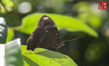 sc00015
