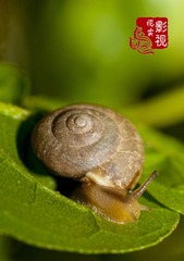 c000018