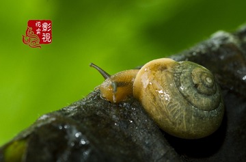 f0093