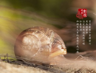 c00008