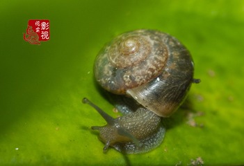 w00002
