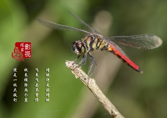 c00014